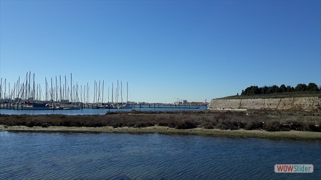 20190323_105124