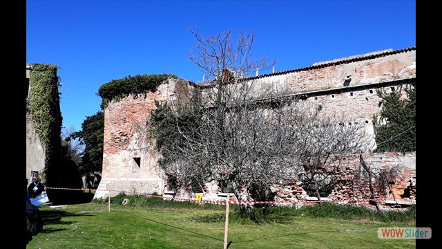 20190323_110900