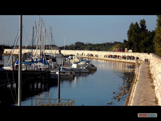 SAM_4869